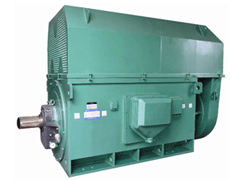 YKS6303-10/1250KWY系列6KV高压电机