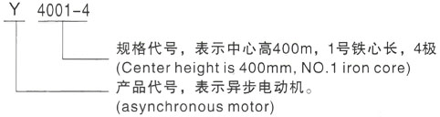 西安泰富西玛Y系列(H355-1000)高压YKS6303-10/1250KW三相异步电机型号说明